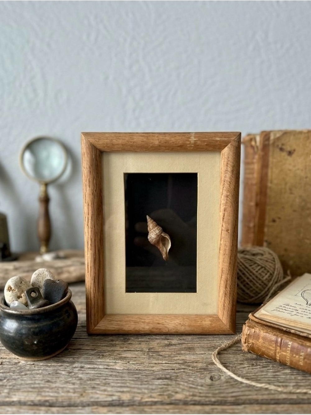 Sea Shell Shadow Box Art